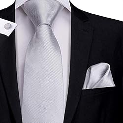 Hi-Tie Mens Silver Tie Set Woven Light Gray Silk