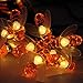 iMazer Bee Lights, Bumble Bee Decorations Solar String Lights 30 LED Honey Bee Shaped Fairy Light for Outdoor Garden Flower Fence Tree Face Decor, Warm White LD010