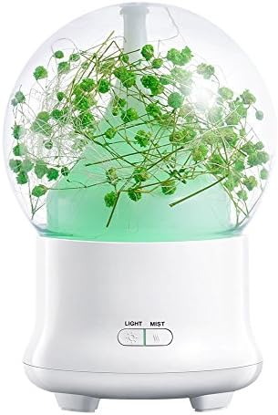 Bixshell Essential Diffuser, 100ml Aroma Essential Cool Mist Humidifier with Adjustable Mist Mode, Waterless Auto Shut-off and Eternal Flower LED Lights Changing for Home Office Baby (LightGreen)