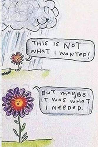 this is not what i wanted! but maybe it was what i needed. : Unlined Notebook - Large (6 x 9 inches) - 100 Pages -design cover