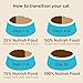 Rachael Ray Nutrish Premium Natural Dry Cat Food, Chicken & Brown Rice Recipe, 6 Pounds