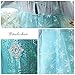 Snow Queen Ice Princess Elsa Costume Generic Dresses Dress Up with Long Braid and Tiara Accessories for Girls Birthday Party Size 5t 6t 6(L) (5~6 Years)