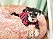 Cat Beds & Furniture,Calming Dog Beds for Small Medium Dogs,Detachable Cat Bed for Indoor Cats, Anti-Slip Faux Fur Fluffy Donut Cuddler Cat Cave, Fits up to 13-40 lbs (S-20 * 20 * 7inch, Pink)