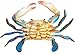 All Seas Imports Awesome Realistic Looking Acrylic Resin 9