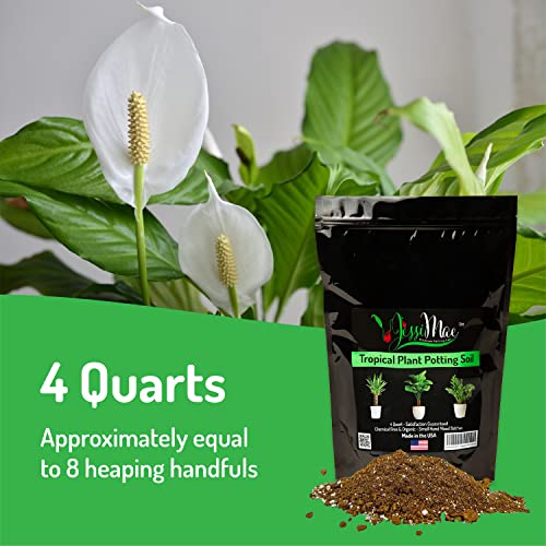 Jessi Mae Tropical Plant Potting Soil Made with Perlite