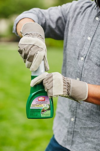 1 Ortho+Chickweed+Clover+Concentrate+16+Ounce