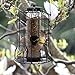 FORUP Caged Tube Feeder, Squirrel Proof Wild Bird Feeder, Outdoor Birdfeeder with Large Metal Seed Guard Deterrent for Large Birds