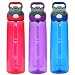 Contigo Autospout Addison Water Bottle, 24 oz - Watermelon, Lilac & Monaco (3 Pack)