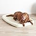 Amazon Basics Padded Pet Bolster Bed for Dog, 40 x 26 inches, Cream