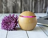 Essential Oil Diffuser and Humidifier USB with LED Lights