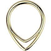 Pierced Owl 16GA ASTM F-136 Implant Grade Titanium Double Chevron Hinged Segment Clicker Ring