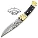 Best.Buy.Damascus1 Damascus pocket knife, Folding knife, Pocket Knife For Men, Knife Set with knife sharpeners Premium Quality gifts for men (Buffalo Horn Scrimshaw)