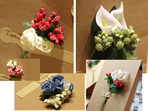 image for Supla 12 bouquets Pip Berry Stems Pip Berries Berry Stamen Pip Berry W