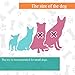 Panda Dog Toys, Cotton Dental Teaser Rope Chew Teeth Cleaning Toy for small and medium dogs