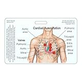 Heart Sounds Diagram Horizontal Badge Reference Card (1 Card)
