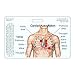 Heart Sounds Diagram Horizontal Badge Reference Card (1 Card)