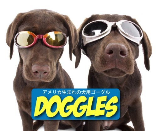 Doggles ILS Large Racing Flames Frame and Orange Lens