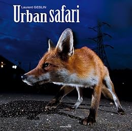 Safari urbain
