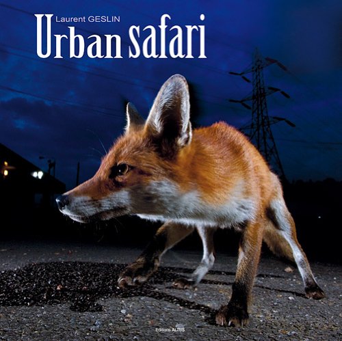 Safari urbain