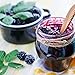 Augason Farms Freeze Dried Whole Blackberries 9.63 oz No. 10 Can