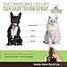 Chlorhexidine Spray for Dogs, Cats - Ketoconazole, Aloe - 8 oz - Cat, Dog Hot Spot Treatment, Mange, Ringworm, Yeast Infection, Itching Skin Relief, Allergy Itch, Acne, Antibacterial Antifungal, USA