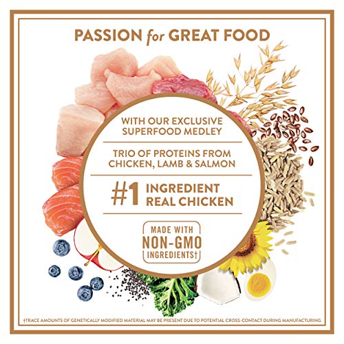 NUTRO ULTRA Large Breed Puppy High Protein Natural Dry Dog Food with a