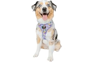 Sassy Woof Dog Adjustable Harness - Nickelodeon Rugrats™ - M, Breathable Mesh, No Pull Design with Two D-Rings, Patented Design, Perfect for Medium Dogs - Officially Licensed
