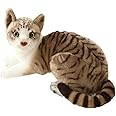 GUDVES Siamese Cat Stuffed Animal, Shorthair Cat Realistic Plush Cat Stuffed Toys, Gift for Kids 12inches (B)