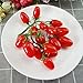 Hagao Fake Cherry Tomatoes Artificial Fruit Plastic Lifelike Simulation House Kitchen Decoration (15 Grain)