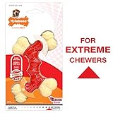 Nylabone Double Bone Power Chew Long-Lasting Dog Toy