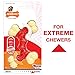 Nylabone Double Bone Power Chew Long-Lasting Dog Toy primary