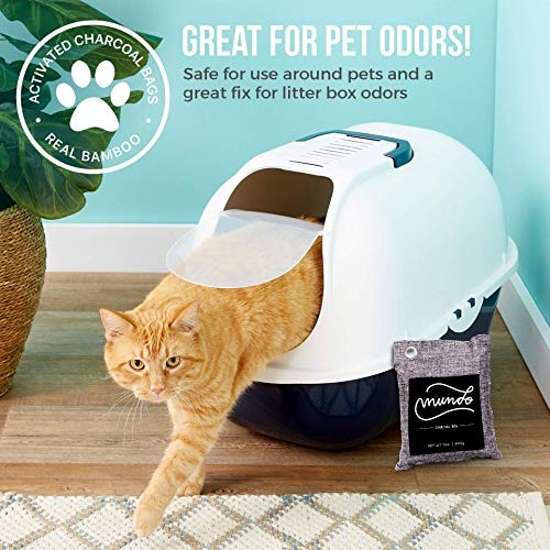 Mundo Bamboo Charcoal Air Purifying Bag 4 PACK(4 x 200g) Powerful Activated Charcoal Bags