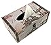Bellaa Tissue Box Holder Rectangular Vintage Antique Book Paper Napkin Dispenser Home Office Car Top Lid Wooden Refillable Big Fits All Boxes (Paris)