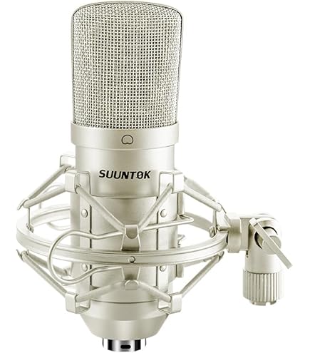 Amazon.com: LyxPro Condenser Microphone for Studio, Vocals