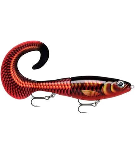 Amazon.com : Rapala Men's X-Rap Peto Curls, Artistic Tassel, 20 cm