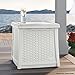 Suncast Elements 13-Gallon End Table with Storage - Lightweight Resin Outdoor Storage Patio and Coffee Table for Cushions, Gardening Tools and Toys - Store Items on Patio - White, Made in the USA