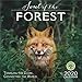 The Soul of the Forest 2020 Calendar: Traveling the Globe, Connecting the World