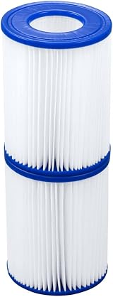 Bestway Flowclear Type II Filter Cartridge for Pool Spa 4.2 x 5.4 in (Two Pack)