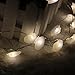 ER CHEN Newest 40 LED Sea Shell,10Ft Long Indoor&Outdoor Waterproof Battery Operated Silver Wire String Lights with Remote&Timer