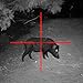 Sightmark Photon 6.5x50S Digital Night Vision Riflescope