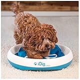 iDig Stay Digging Toy for Dogs