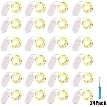 24 Packs Fairy Lights Battery Operated,10.2FT 30LEDs Copper Wire Firefly Lights,Mini Starry String Lights(Warm White)