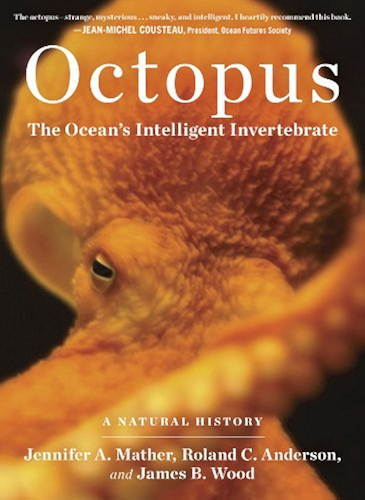 Download Octopus: The Ocean's Intelligent Invertebrate (English Edition) PDF