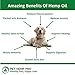 Hemp Oil for Dogs and Cats : 500MG - Anxiety Relief, Hip & Joint Health, Premium Organic Hemp Extract - Omega 3 & 6 Fatty Acids, Vitamin E Oil, Iron, Zinc - Stronger Than Fish Oil or Flaxseed Oil