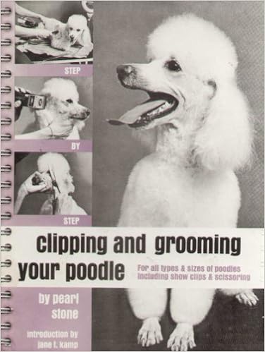 poodle clipping and grooming