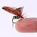 Sougayilang Bass Salmon Trout Colorful Assortment Dry Fly Fishing Flies Fly Fishing Lures Streamer, Nymph, Emerger with Waterproof Fly Box-48PCS