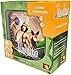 Asmodee Timeline Science and Discoveries