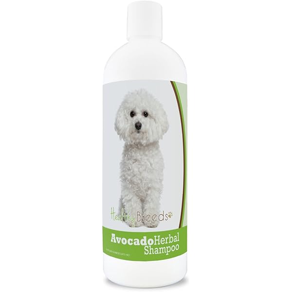 bichon frise itching cures