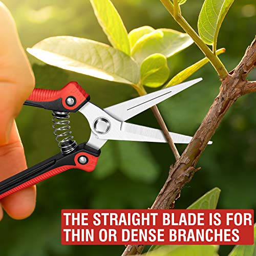 Sécateur de Jardin, Secateur force cisaille jardinage en acier inoxydable Sharp avec sac de rangement, mécanisme de verrouillage et poignée antidérapante pour tiges de branches, fleurs, haies, fruits