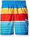 Kanu Surf Toddler Boys Viper Quick Dry Beach Swim Trunk, Viper Aqua, 3T